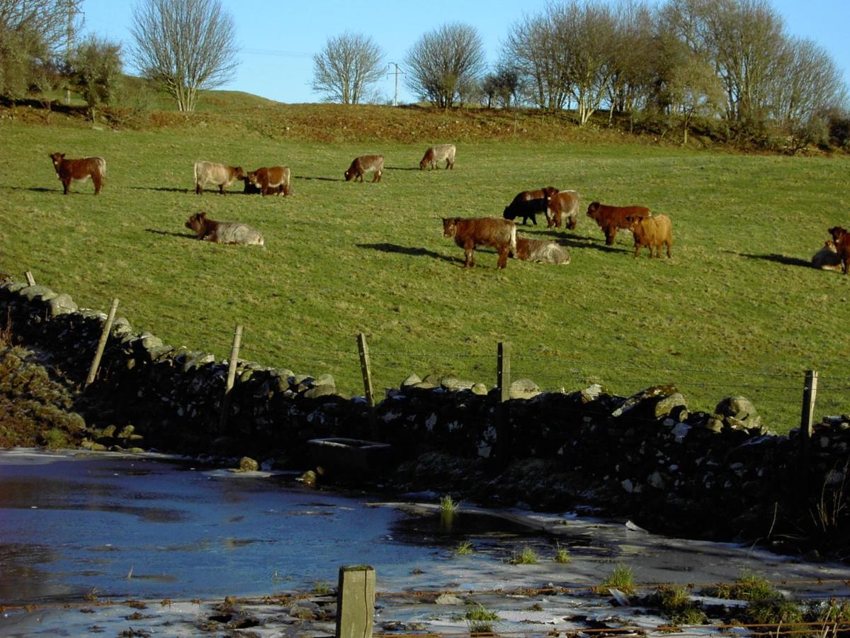 Nest Holiday Home Central Callander, Trossachs Self-Catering ภายนอก รูปภาพ